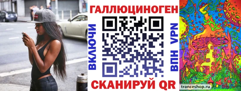 omg tor купить наркоту Братск Галлюциногенные грибы Psilocybine cubensis