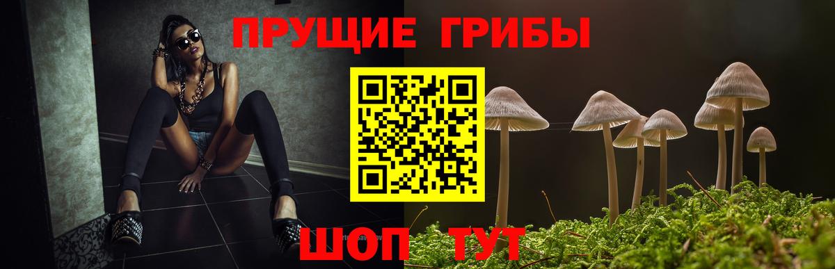 Братск  Галлюциногенные грибы ЛСД  Вход с VPN 