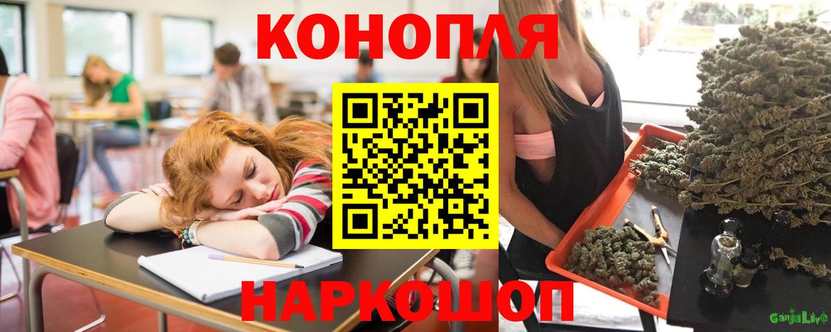 Конопля AK-47  Бошки Шишки ГИДРОПОН  Вход с VPN  Конопля OG Kush  Братск 